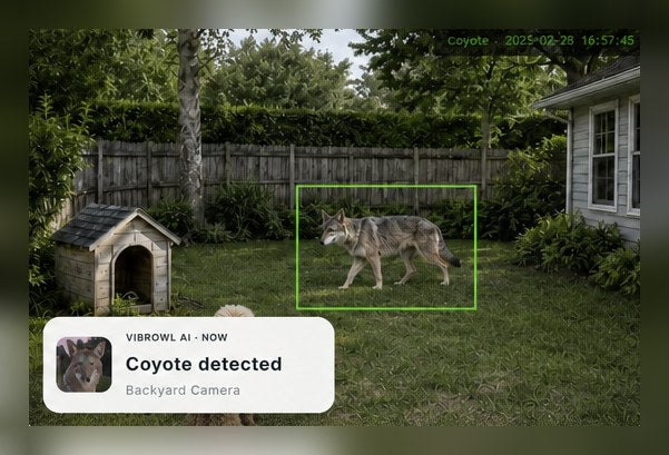 Coyote detected by VIBROWL AI in a backyard
