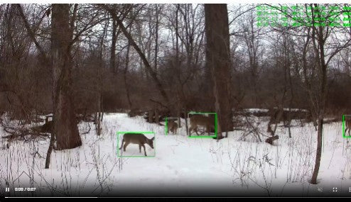 VIBROWL AI animal monitoring